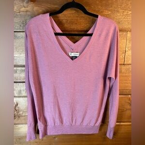 American Eagle Outfitters Violet V-Neck Sweater